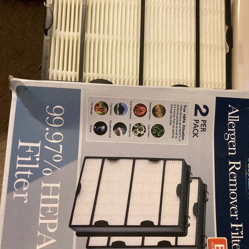 Holmes true HEPA filter size B